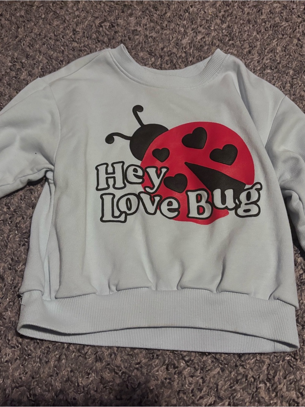 Old Navy Light Blue Sweatshirt with Red Ladybug Graphic